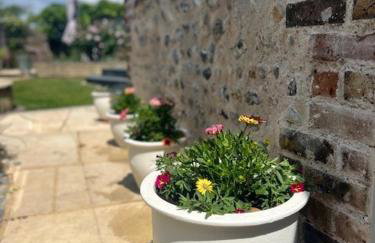 The Resting Shepherd - Foto 15