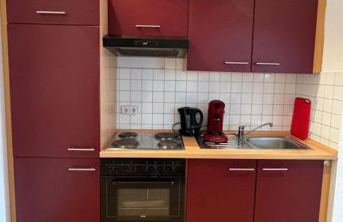 Helles Appartment, WLAN, Netflix, Nähe CHIO - Foto 7