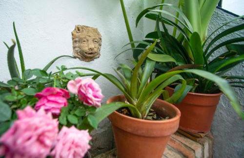 El patio de Regina - Foto 39