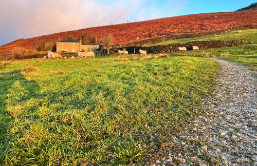 Luxury Retreat - Foto 12