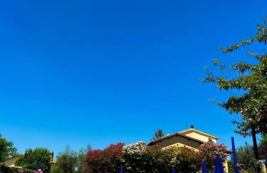 Cardinal Girolamo - Foto 18