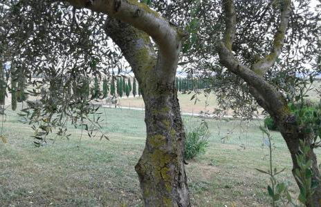 Casa Country House Girasole vakantie huis-WAKACJE HUIS - Foto 72