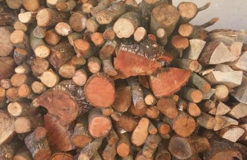 Casa Rural el Pajar de Tenzuela - Foto 17