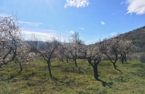 Apartamento El Refugio de Mecina - Foto 29