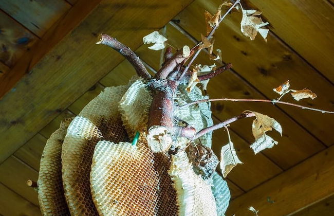 Agriturismo Al Luogo del Giulio - Foto 45