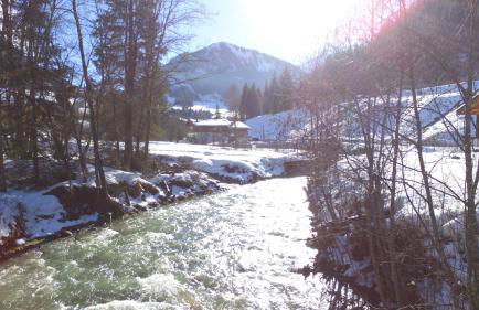 Le Savoyard - Photo 25