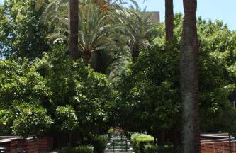 Apartamento Orange Triana centro - Foto 16