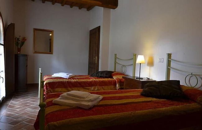 Bellavista farm of Quercini Maurizio - Foto 78