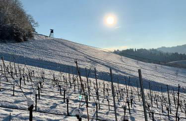 Ferienapartment Huber - Foto 32