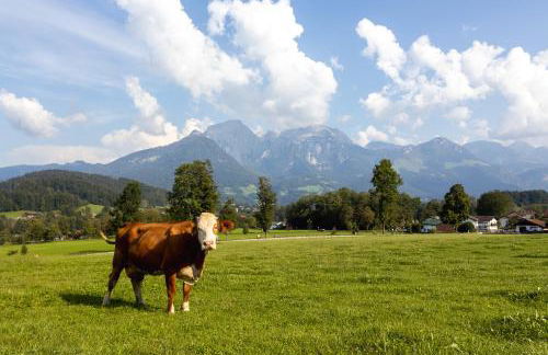 Ferienwohnung Hirnsberglehen - Foto 38