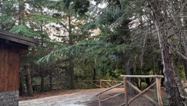 Etna Chalet Nicolosi - Foto 5