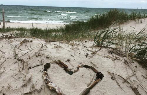 Hotelanlage Tarnewitzer Hof - Foto 67