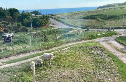 Old Manse Cottage - Foto 17