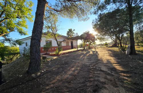 Finca El Palmar - Foto 24