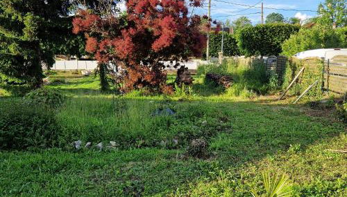 Studio mezzanine à proximité du parc Disneyland - Foto 4, Garden, Garden view