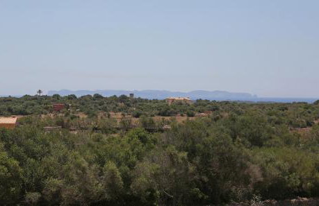 Finca Tiana - Photo 46