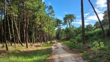 Casa Santana - Foto 2