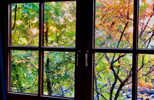 Charmante Ferienwohnung mit Balkon im 5-Seen-Land - Foto 49