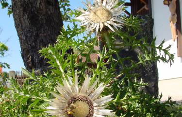 Ferienwohnung Patricia - Foto 25