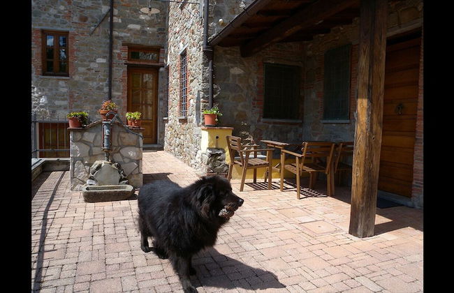 Agriturismo Il Pino - Foto 25