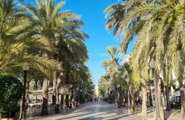 Casa Verde Alicante - Photo 13