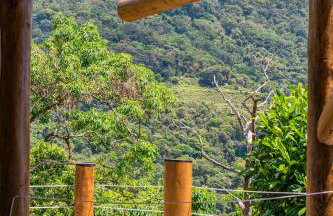 Casa Tulum - Foto 40