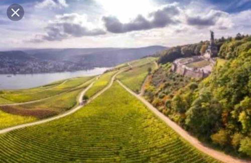 1.0 Relaxen am Kloster Johannisberg - Foto 34