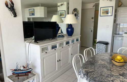 Port Leucate : superbe appartement pleine vue mer - Foto 7