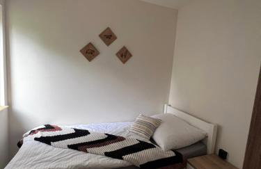 Jeżówka i Sudetka - Foto 12