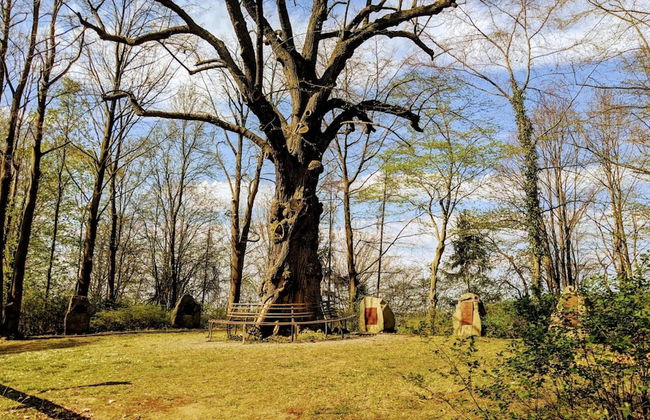 Ferienwohnung in Bissendorf - Foto 36