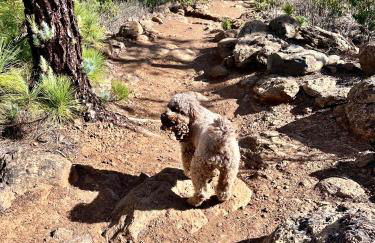 Private Studio & terrace, pool - Foto 48