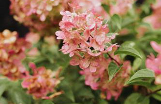 Ten Mały Domek - Foto 12