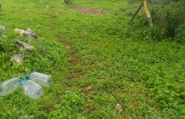 House with garden in Marinha da Mendiga - Foto 10