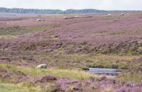 Rawcliffe House Farm Studios, Peaceful North York Moors Retreat - Foto 148