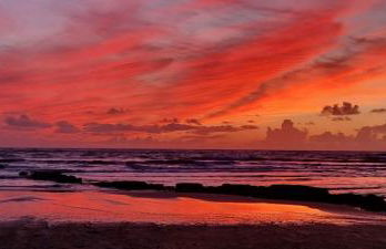 Le Ptit Vertbois - Foto 16