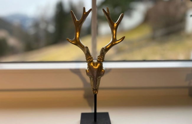 Chalet Only 200 m From ski Lift With Sauna - Photo 23