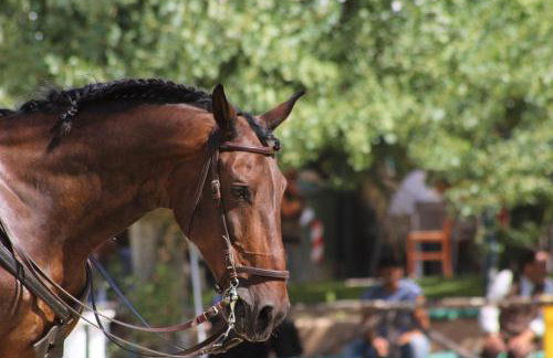 Lovely Place - Foto 32