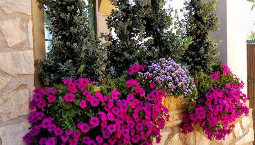 Calapanizo "Un Paraíso" - Foto 3