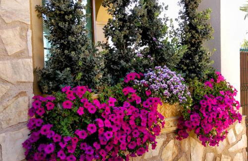 Calapanizo "Un Paraíso" - Foto 3