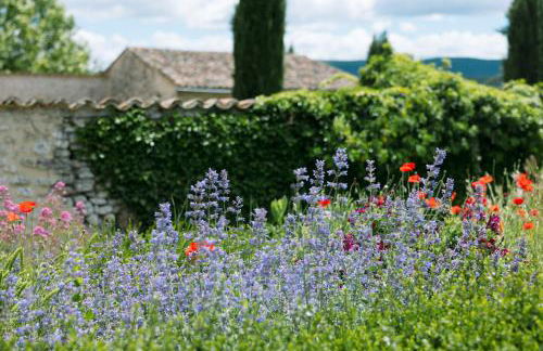Domaine de la barbeirasse - Foto 43