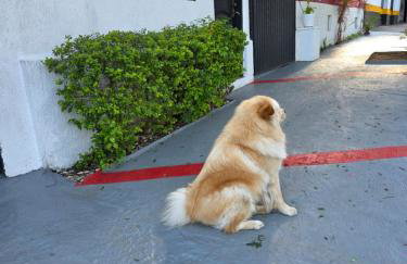 Studio Luxo decorado total Ar condicionado - Foto 57