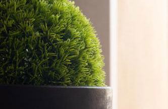 Vistaverde Harmony Apartments - Foto 58