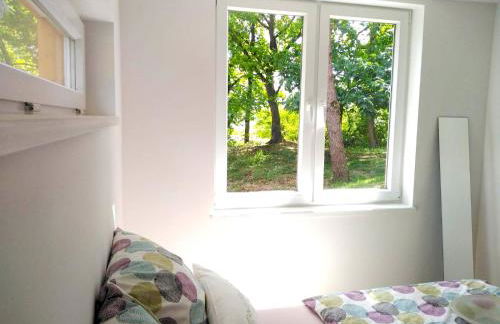 Naturhaus Allerblick - free Wifi - Foto 11