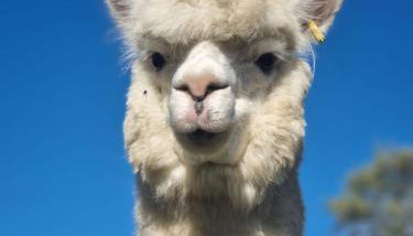 BAJKA-Domek na wsi - Foto 2