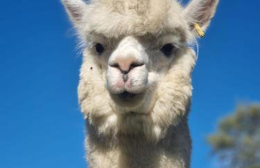 BAJKA-Domek na wsi - Foto 2