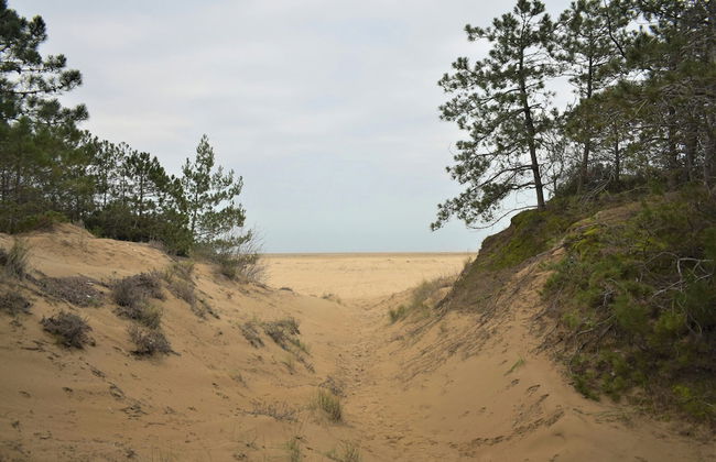 Spacious Villa in Lignano Pineta Near the Beach - Foto 18