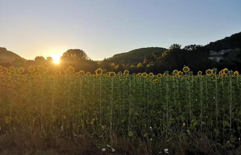 2 Bedroom Cozy Home In Eyraud-Crempse-Maurens - Foto 22