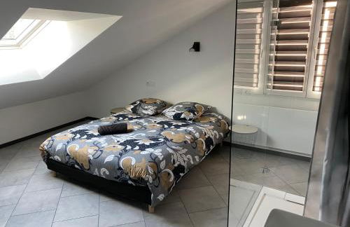 Location T4 entre Lac & Montagne - Photo 25