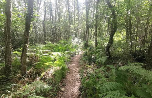 Estancia con jardín entre golf y monte - cerca Logroño - Foto 39