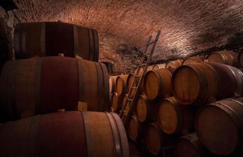 La Fattoria di Rendola - Foto 3